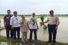 Tambah LTT di Sumut,...