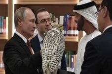 Usai Raja Salman, Putin...