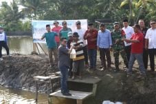 Bupati Halbar Tabur...