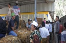 Tembakau Ditolak, Petani...