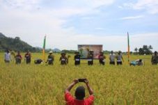Bupati Morowali Upayakan...
