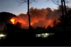 Kebakaran Hutan di Kawasan...