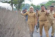 Kemarau Panjang, 120...