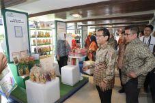 Festival PLN Peduli...