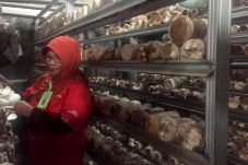 Pertamina Berdayakan...