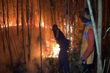Kebakaran Hutan Gunung...