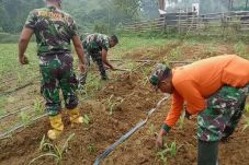 Jelang Penutupan TMMD,...