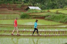 Empat Desa Wisata RI...