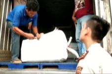 Penyelundupan 1,2 Ton...