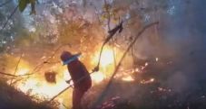 Hutan HPT Terbakar Hebat,...