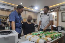 Kembangkan Jaringan...