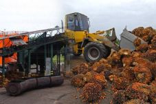 Wapres Dijadwalkan Buka...