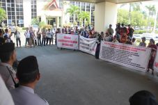 Tuntut Kebun Plasma...
