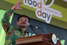Syahrul: HPS 2019 Jadi...