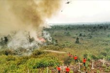 BPBD: Kebakaran Hutan...