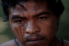 Penjaga Hutan Amazon...