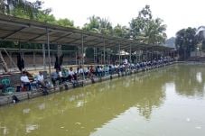 Gelar Mancing Bersama,...