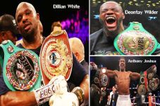 Wilder Hindari Joshua...