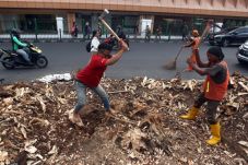 Pengamat Anggap Dinas...