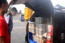 Tim Gabungan Gagalkan...