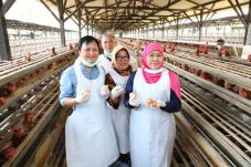 Khofifah Pastikan Telur...