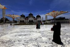 Berdasarkan GMTI 2019,...