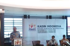 Kadin Mencari Peluang...