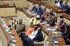 Tim Pemekaran Papua...
