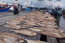 Kobar Tingkatkan Pengelolaan...