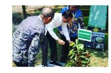 Kalbar Miliki Durian...