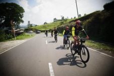 Polygon E-Bike Touring:...