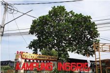 Mengintip 7 Rahasia...