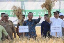 Gubernur Kalbar Galakkan...