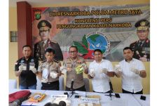 Melawan Polisi, Pengedar...