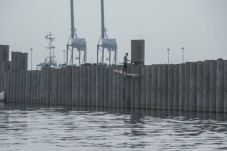 Tanggul di Muara Baru...
