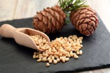 Kacang Pinus Baik untuk...