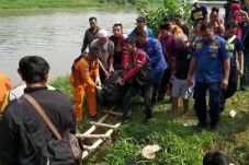 Nekat Berenang Seberangi...