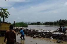 Perbaikan Sementara...