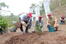 AHM Tanam 1.000 Pohon...
