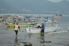Teluk Palu Akan Dibangun...