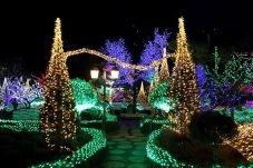 Sambut Natal, Kota Busan...