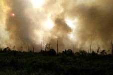 UNEP: Karhutla Mayoritas...