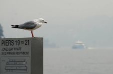Kebakaran di Utara Sydney...