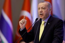 Bela Palestina, Erdogan...