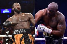 WBC Perintahkan Wilder...
