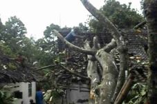 Puluhan Rumah di Banyuwangi...