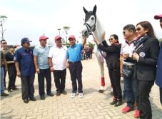 Equestrian Champions...