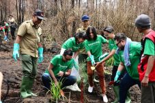 Band Barasuara Tanam...