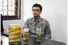 Banyak Ular Kobra Muncul...