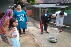 Ular Bangke Laut Teror...